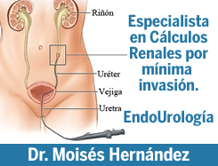 http://doctoresmerida.mx/medico-especialista/dr-moises-hernandez-hernandez