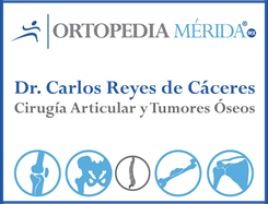 https://doctoresmerida.mx/medico-especialista/dr-carlos-enrique-reyes-de-caceres