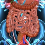 Cirugía de mínima invasión de sistema digestivo para estómago, colon, hígado, esófago y por reflujo gástrico. 