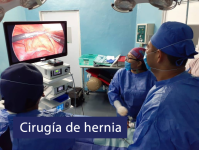 Cirugía de hernias inguinal, hernia umbilical, hernias debido a otras cirugías, hernia recidivante, y hernia hiatal. Miembro de la Asociación Mexicana de Hernia — AMH.
